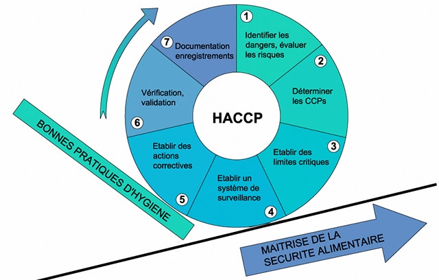 Les 7 principes de l’HACCP
