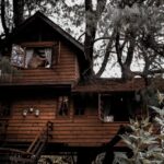 cabane dans les arbres