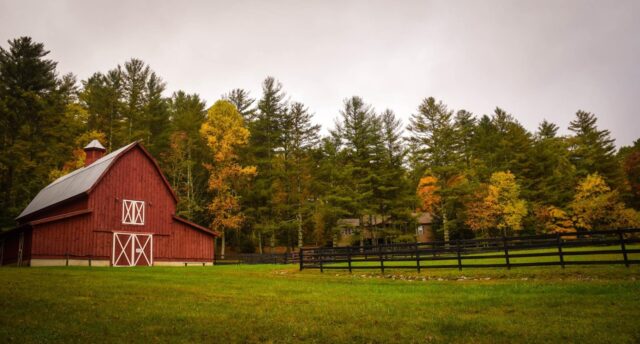 vacances à la ferme en famille