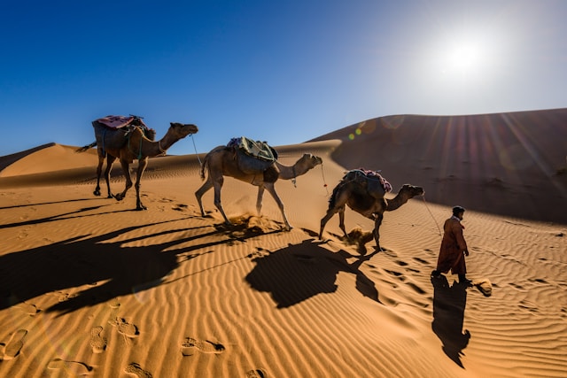 Comment le Sahara révèle-t-il ses trésors culturels à travers un voyage inoubliable ?