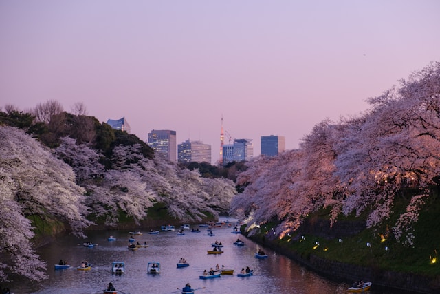 Quels trésors d’été le Japon a-t-il à offrir pour un voyage inoubliable ?