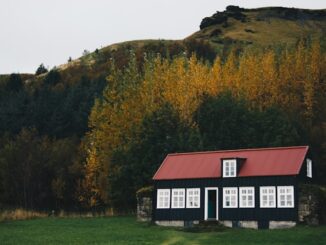 investissement immobilier