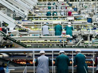 Les stratégies gagnantes pour développer une activité dans l’industrie